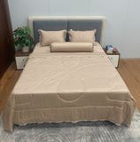 Bộ Drap Forever Chần Gòn FMC02