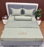 Bộ Drap White Swan WS17