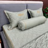 Bộ Drap White Swan WS17