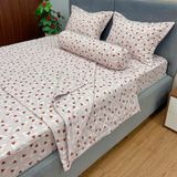 Bộ Drap Cotton Lụa Red Rose RR08