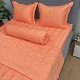 Bộ Drap Couple TSC19