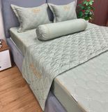Bộ Drap White Swan WS17
