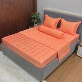 Bộ Drap Couple TSC19
