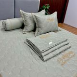 Bộ Drap White Swan WS17