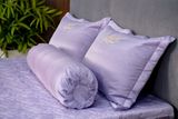 Bộ Drap Couple TSC29