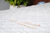 Bộ Drap Couple TSC07