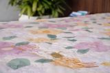 Bộ Drap Sweetly TLS02