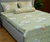  Bộ Drap White Swan TLC516 