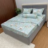 Bộ Drap Victoria TLV69