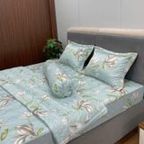 Bộ Drap Victoria TLV69