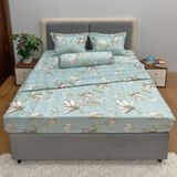 Bộ Drap Victoria TLV69