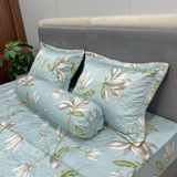 Bộ Drap Victoria TLV69