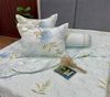 Bộ Drap White Swan TLC514