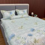  Bộ Drap White Swan TLC514 