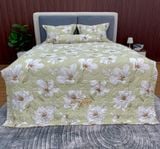 Bộ Drap White Swan TLC519