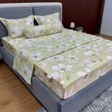 Bộ Drap White Swan TLC519
