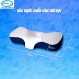 Gối Cao Su Công Thái Học