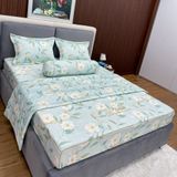  Bộ Drap Victoria TLV28 