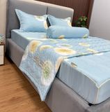  Bộ Drap White Swan TLC527 