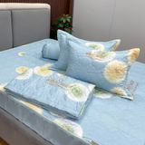  Bộ Drap White Swan TLC527 