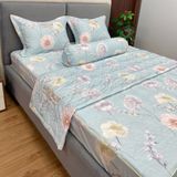  Bộ Drap White Swan TLC525 