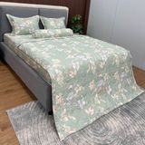  Bộ Drap White Swan TLC521 