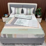  Bộ Drap White Swan TLC523 