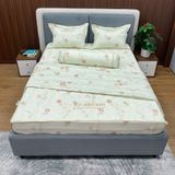  Bộ Drap White Swan TLC528 