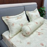  Bộ Drap White Swan TLC528 