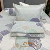 Bộ Drap Victoria TLV36