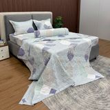 Bộ Drap Victoria TLV36