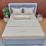 Bộ Drap Victoria VM02