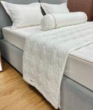 Bộ Drap Victoria VM09