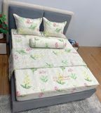 Bộ Drap White Swan TLC365