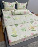 Bộ Drap White Swan TLC365