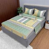 Bộ Drap White Swan TLC464