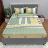 Bộ Drap White Swan TLC464