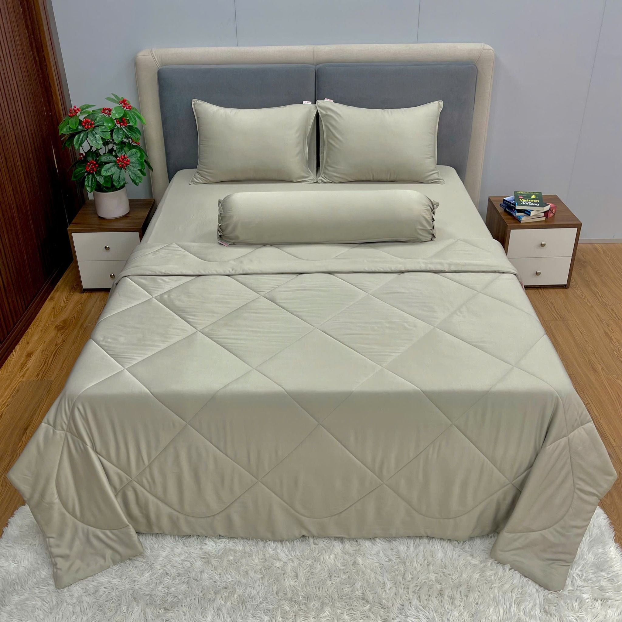 Bộ Drap Forever Không Chần Gòn 1 Màu FM02