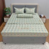 Bộ Drap White Swan TLC484