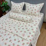 Bộ Drap Cotton Đũi Angel AG10