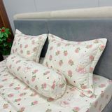 Bộ Drap Cotton Đũi Angel AG10