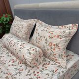 Bộ Drap Cotton Đũi Angel AG11