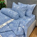 Bộ Drap Cotton Đũi Angel AG13