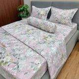Bộ Drap Victoria TLV59