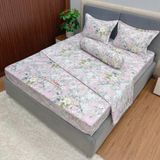 Bộ Drap Victoria TLV59