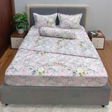 Bộ Drap Victoria TLV59