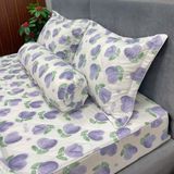 Bộ Drap Cotton Đũi Angel AG12