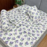 Bộ Drap Cotton Đũi Angel AG12
