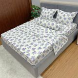 Bộ Drap Cotton Đũi Angel AG12