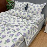 Bộ Drap Cotton Đũi Angel AG12